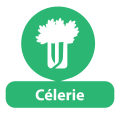 Allergène 3