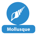 Allergène 6