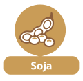 Allergène 9